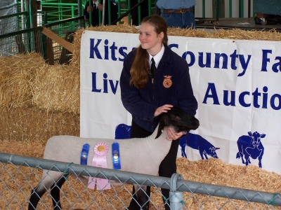 Market Animal Auction