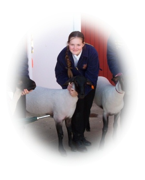 Getting Ready to Enter the Show Ring for Judging