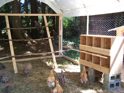 Inside Coop 2